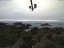 ./images/calvert/lookout/20210515/lookout20210515_091501.jpg