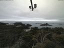 ./images/calvert/lookout/20210515/lookout20210515_092001.jpg