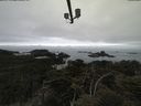 ./images/calvert/lookout/20210515/lookout20210515_092501.jpg