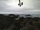 ./images/calvert/lookout/20210515/lookout20210515_095502.jpg