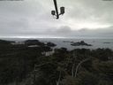 ./images/calvert/lookout/20210515/lookout20210515_100002.jpg