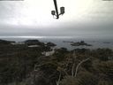 ./images/calvert/lookout/20210515/lookout20210515_102002.jpg