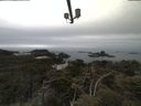 ./images/calvert/lookout/20210515/lookout20210515_102502.jpg