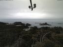 ./images/calvert/lookout/20210515/lookout20210515_104001.jpg