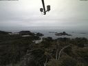 ./images/calvert/lookout/20210515/lookout20210515_105501.jpg