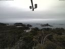 ./images/calvert/lookout/20210515/lookout20210515_110501.jpg
