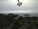 ./images/calvert/lookout/20210515/lookout20210515_111001.jpg