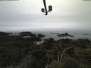 ./images/calvert/lookout/20210515/lookout20210515_111501.jpg
