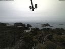 ./images/calvert/lookout/20210515/lookout20210515_112001.jpg