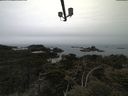./images/calvert/lookout/20210515/lookout20210515_112501.jpg