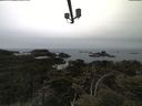 ./images/calvert/lookout/20210515/lookout20210515_113501.jpg