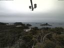 ./images/calvert/lookout/20210515/lookout20210515_114501.jpg