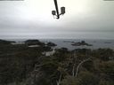 ./images/calvert/lookout/20210515/lookout20210515_115002.jpg