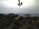 ./images/calvert/lookout/20210515/lookout20210515_120002.jpg