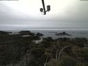 ./images/calvert/lookout/20210515/lookout20210515_120502.jpg