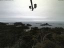 ./images/calvert/lookout/20210515/lookout20210515_122502.jpg