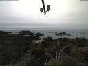 ./images/calvert/lookout/20210515/lookout20210515_123501.jpg