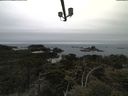 ./images/calvert/lookout/20210515/lookout20210515_124001.jpg