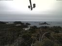 ./images/calvert/lookout/20210515/lookout20210515_124501.jpg