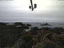 ./images/calvert/lookout/20210515/lookout20210515_125001.jpg