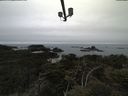 ./images/calvert/lookout/20210515/lookout20210515_125501.jpg
