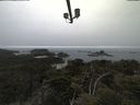 ./images/calvert/lookout/20210515/lookout20210515_130501.jpg
