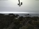 ./images/calvert/lookout/20210515/lookout20210515_140502.jpg