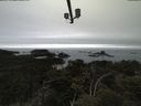 ./images/calvert/lookout/20210515/lookout20210515_141002.jpg