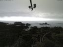 ./images/calvert/lookout/20210515/lookout20210515_152001.jpg