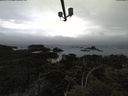 ./images/calvert/lookout/20210515/lookout20210515_161002.jpg