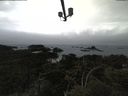 ./images/calvert/lookout/20210515/lookout20210515_162002.jpg
