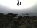 ./images/calvert/lookout/20210515/lookout20210515_163501.jpg