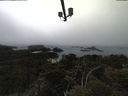 ./images/calvert/lookout/20210515/lookout20210515_170501.jpg