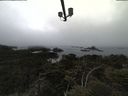 ./images/calvert/lookout/20210515/lookout20210515_171001.jpg