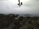 ./images/calvert/lookout/20210515/lookout20210515_172501.jpg