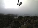 ./images/calvert/lookout/20210515/lookout20210515_173502.jpg