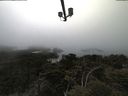 ./images/calvert/lookout/20210515/lookout20210515_174002.jpg