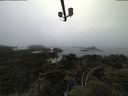./images/calvert/lookout/20210515/lookout20210515_174502.jpg