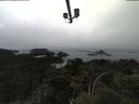 ./images/calvert/lookout/20210515/lookout20210515_180502.jpg
