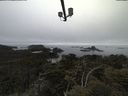 ./images/calvert/lookout/20210515/lookout20210515_190501.jpg