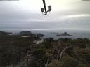 ./images/calvert/lookout/20210515/lookout20210515_210501.jpg