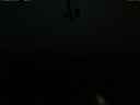 ./images/calvert/lookout/20210515/lookout20210515_220502.jpg