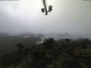 ./images/calvert/lookout/20210516/lookout20210516_062501.jpg