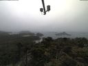 ./images/calvert/lookout/20210516/lookout20210516_082501.jpg