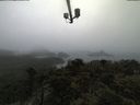 ./images/calvert/lookout/20210516/lookout20210516_112002.jpg