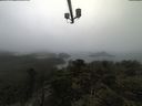 ./images/calvert/lookout/20210516/lookout20210516_112502.jpg