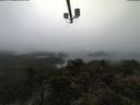 ./images/calvert/lookout/20210516/lookout20210516_113502.jpg
