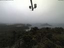 ./images/calvert/lookout/20210516/lookout20210516_115001.jpg