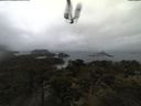 ./images/calvert/lookout/20210516/lookout20210516_154502.jpg