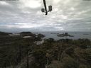 ./images/calvert/lookout/20210517/lookout20210517_101502.jpg